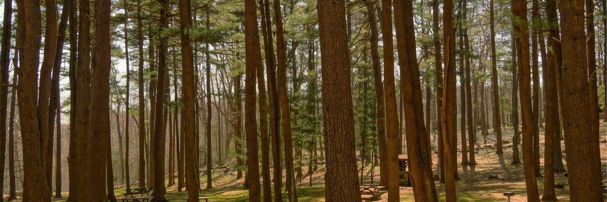 Ayesha Khan's workshop, a creative space for Textiles