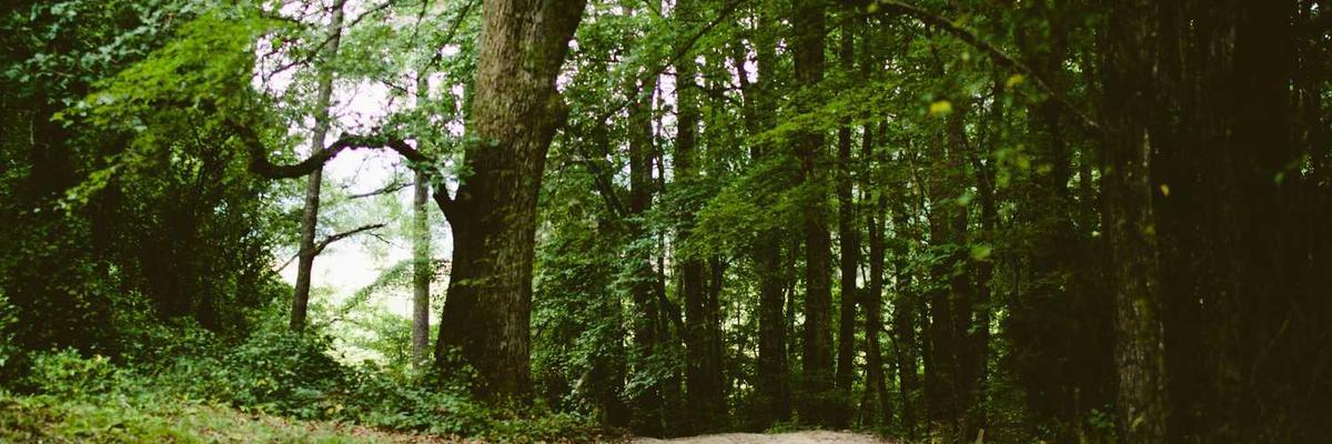 Vikram Nair's workshop, a creative space for Glass Art